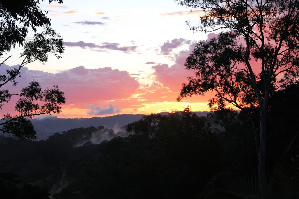 Phoenix Eumundi Luaran gambar