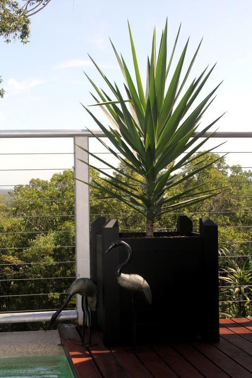 Phoenix Eumundi Luaran gambar