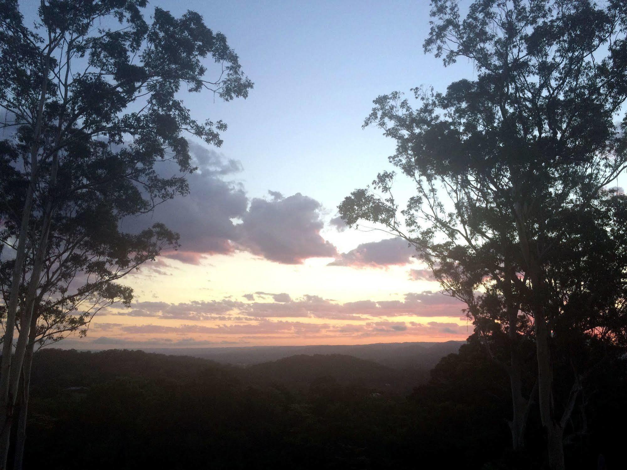 Phoenix Eumundi Luaran gambar