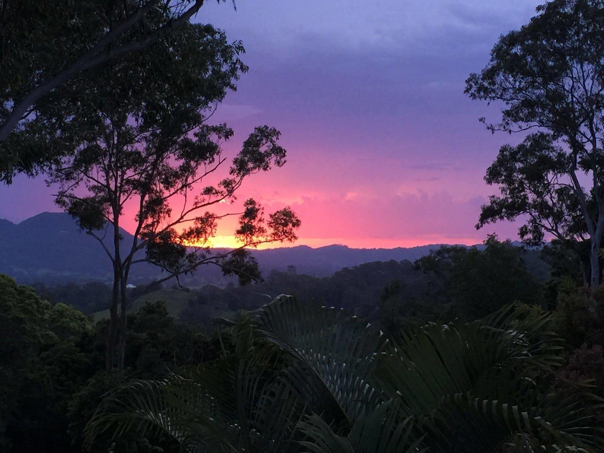 Phoenix Eumundi Luaran gambar